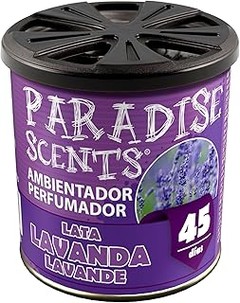 Alternativas a los ambientadores de lata para coche que debes considerar