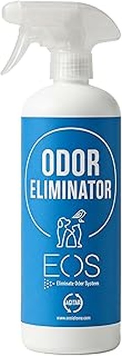 Alternativas naturales y ecológicas para ambientar coches con mascotas