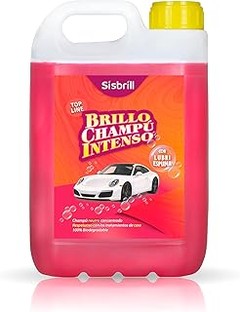 Cómo elegir el mejor champú pH neutro según tu tipo de coche