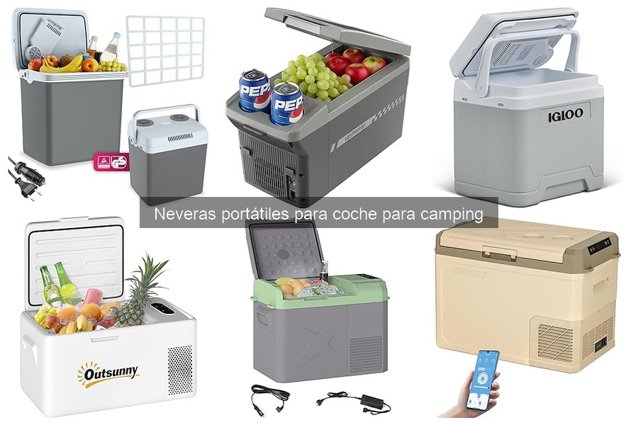 Alimentos ideales para conservar en una nevera portátil