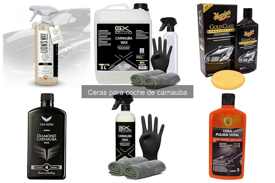 Alternativas a la Cera de Carnauba para el Cuidado del Coche