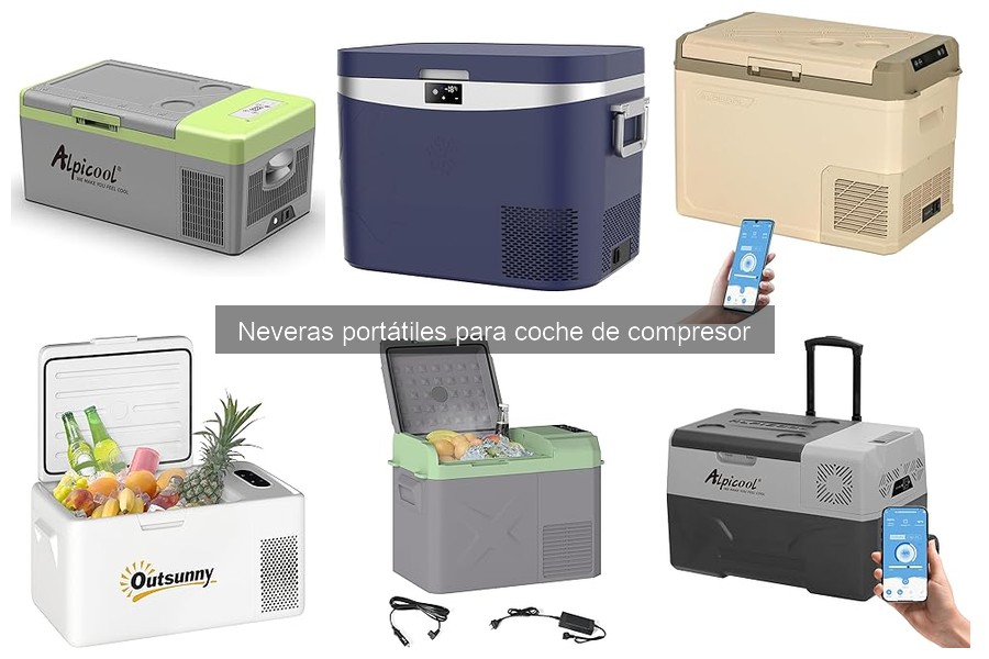 Alternativas a neveras portátiles de compresor para coche