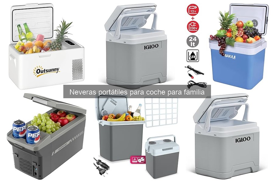 Alternativas a neveras portátiles para coche: ¿Qué llevar?