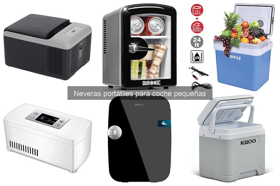 Alternativas a neveras portátiles pequeñas para coche