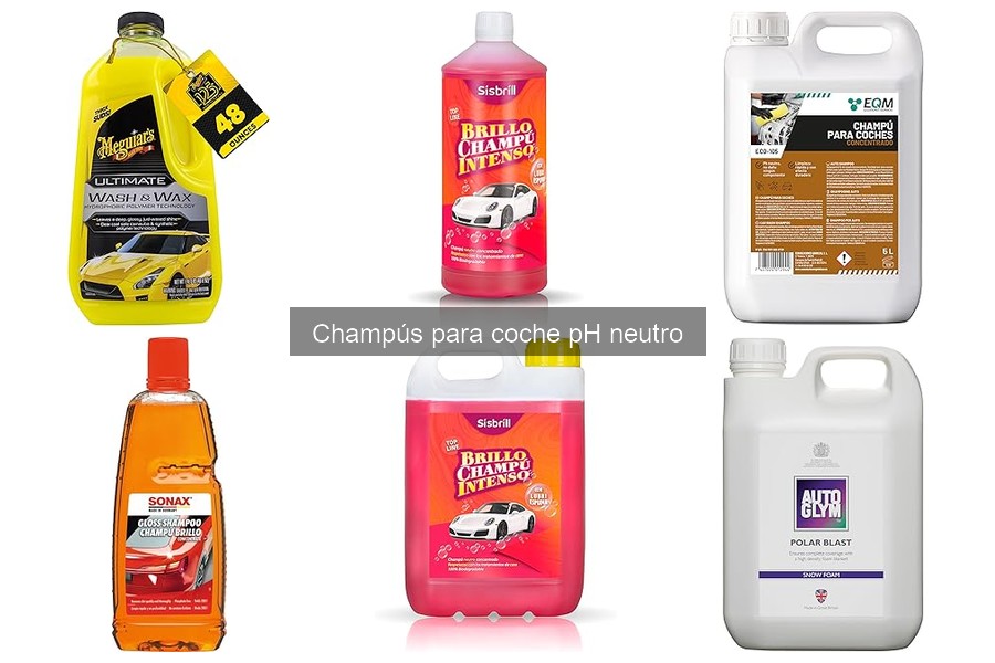 Alternativas efectivas a champús pH neutro para coches