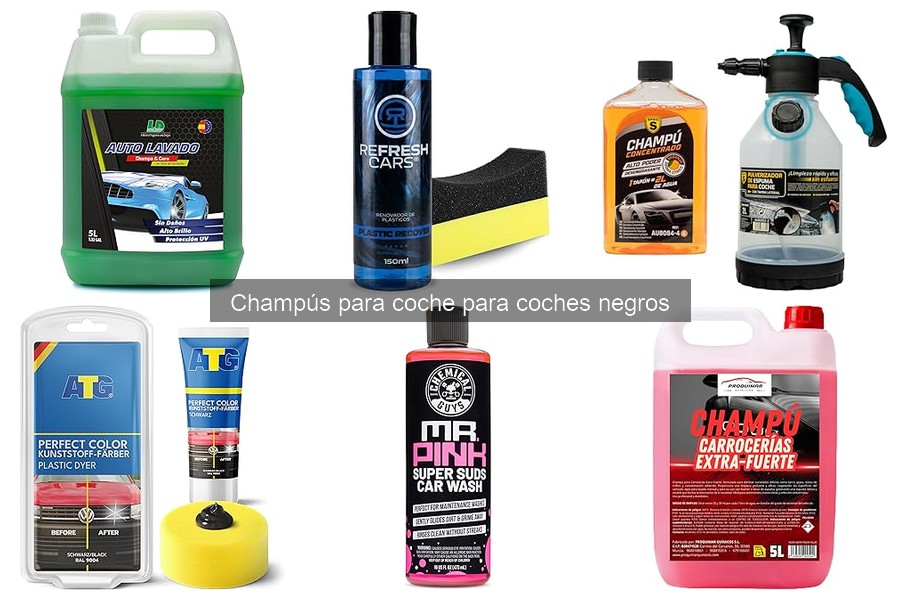Beneficios de los Champús Ecológicos para Coches Negros