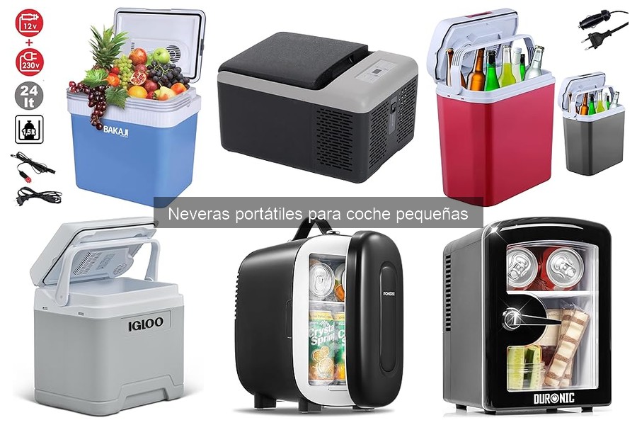 Capacidad ideal de nevera portátil para coche pequeña