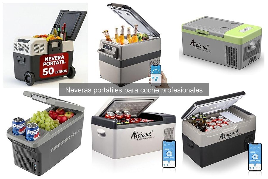 Capacidad ideal de nevera portátil para viajes en coche