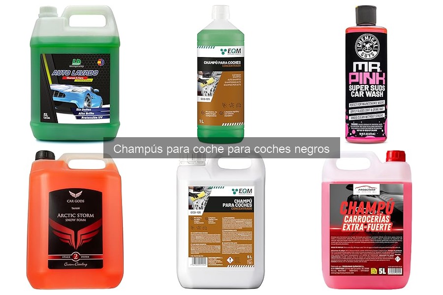 Champús asequibles para coches negros: ¡los mejores y dónde encontrarlos!