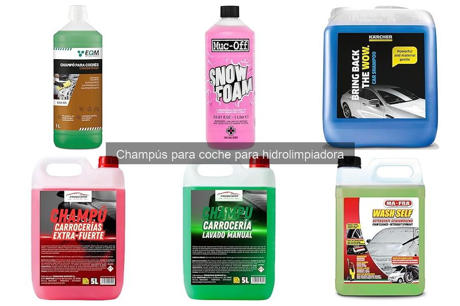 Champús para Coche con Hidrolimpiadora: Beneficios y Tipos