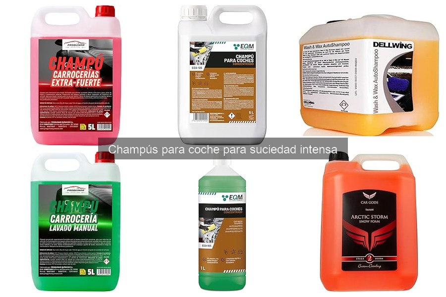 Champús para coche para suciedad intensa recomendados por expertos