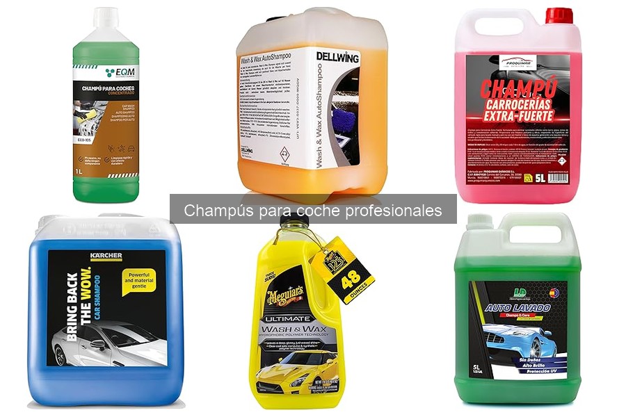 Champús para coche según tipo de pintura: guía completa