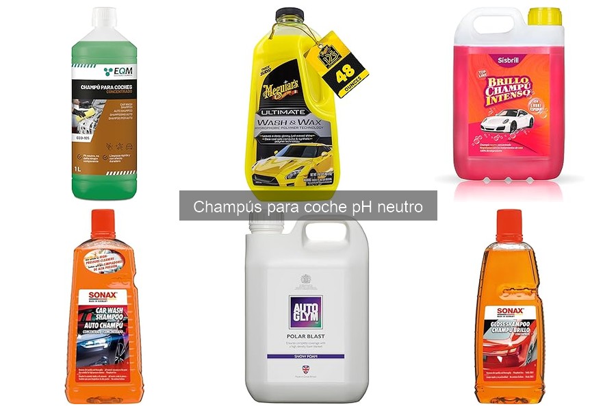 Cómo Almacenar Champú para Coche pH Neutro de Forma Efectiva