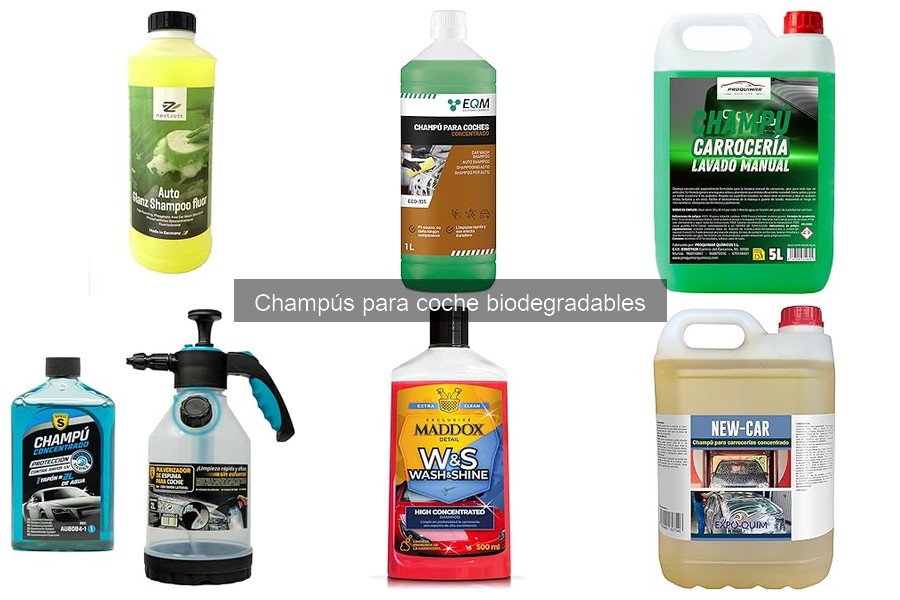 Cómo aplicar champús biodegradables en el coche correctamente