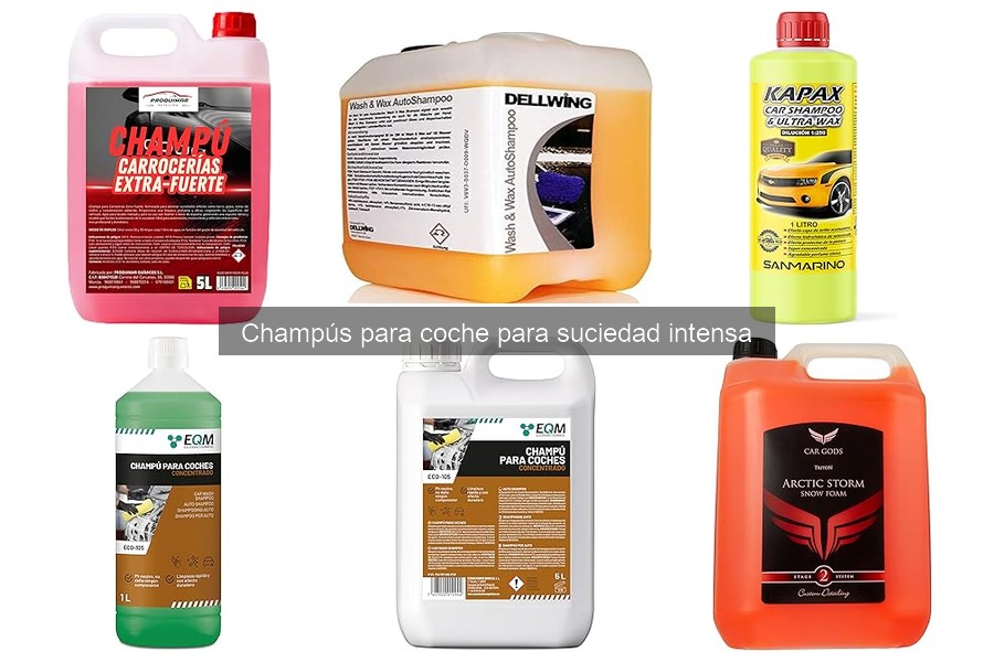 Cómo elegir el mejor champú para coche según su tipo