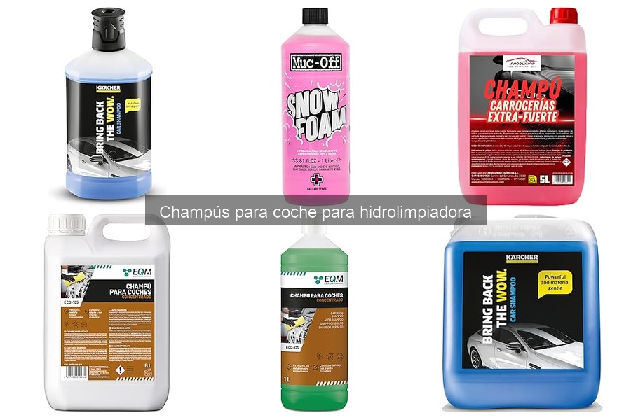 Cómo elegir el mejor champú para hidrolimpiadora