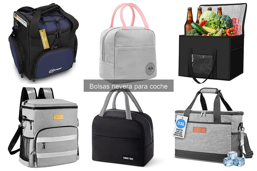 Cómo limpiar y mantener tu bolsa nevera para coche