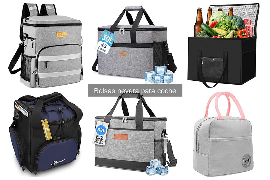 Comparativa: Bolsas nevera eléctricas vs. térmicas para coche