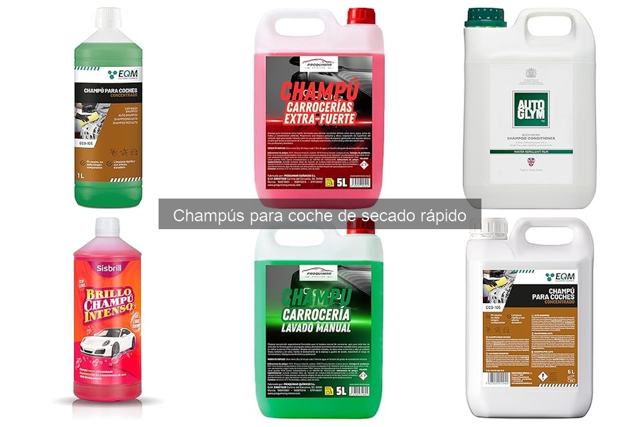 Comparativa: Champús de Secado Rápido vs Tradicionales