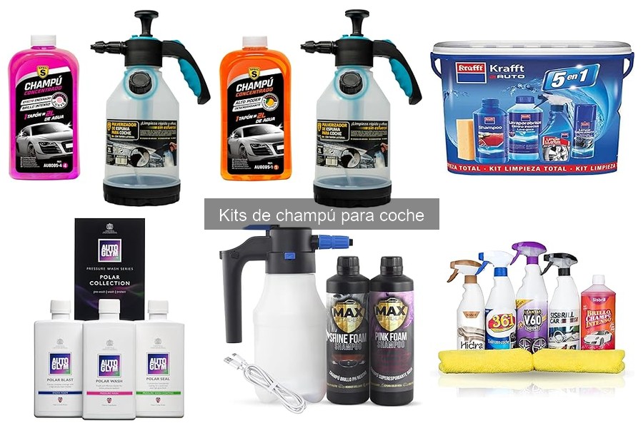 Comparativa de Champús para Coche y Productos de Limpieza