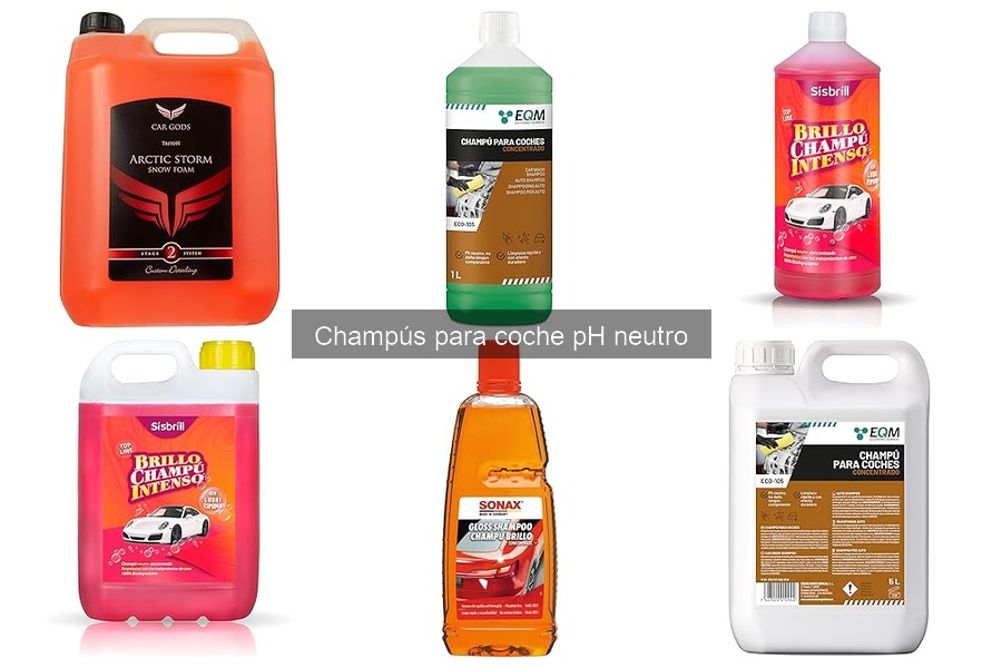 Comparativa de champús pH neutro: líquido, espuma y más