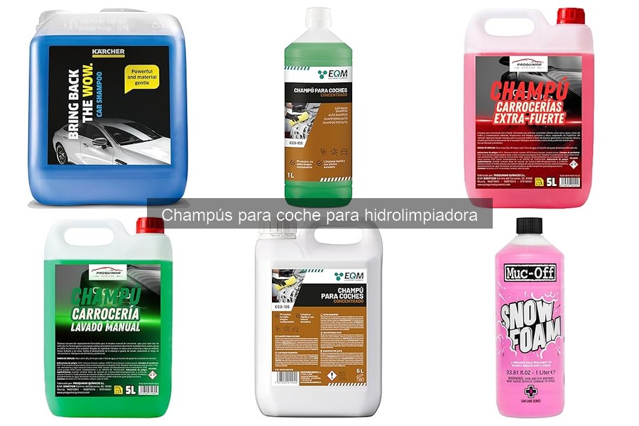 Comparativa de los Mejores Champús para Hidrolimpiadora