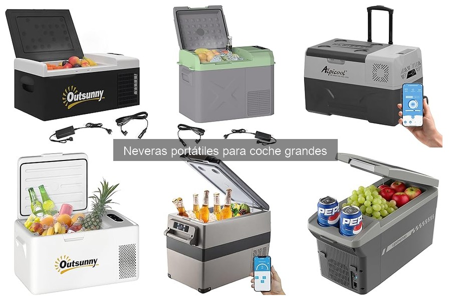 Comparativa de Neveras Portátiles Grandes para Coche