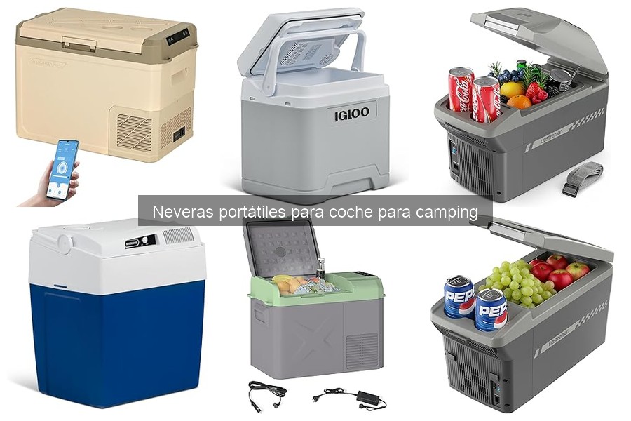 Comparativa: Neveras eléctricas vs. de hielo para coche