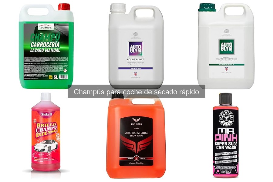 Compra champús de secado rápido a buen precio online