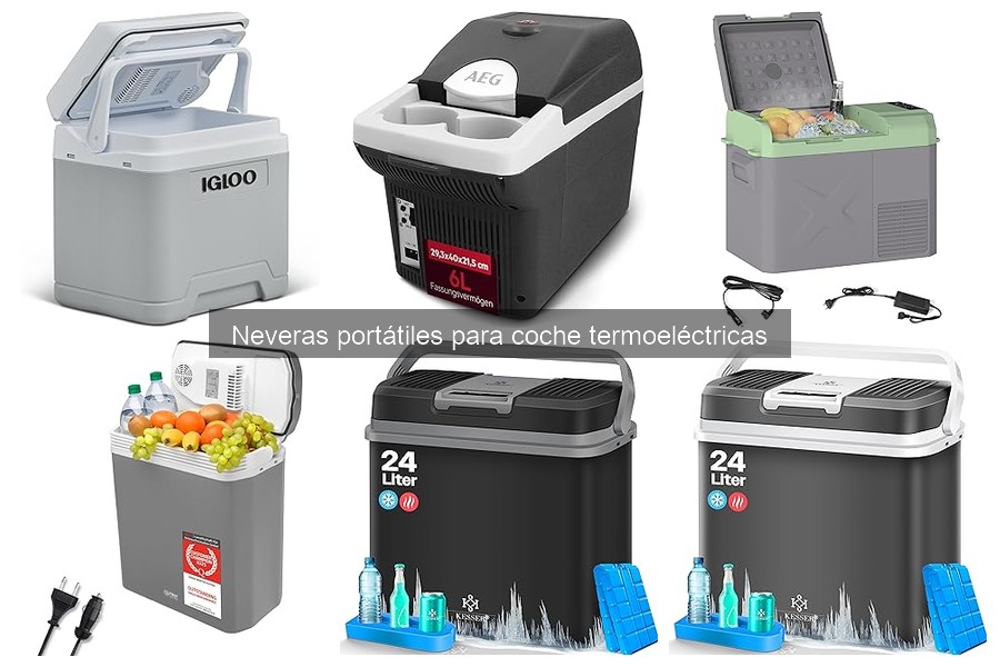 Costos y precios de neveras portátiles termoeléctricas