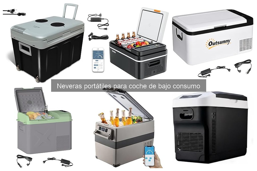 ¿Cuánto cuesta una nevera portátil de bajo consumo para coche?