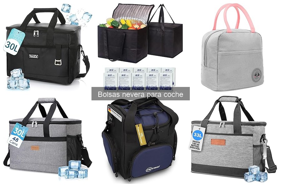 Dónde comprar bolsas nevera para coche: las mejores opciones