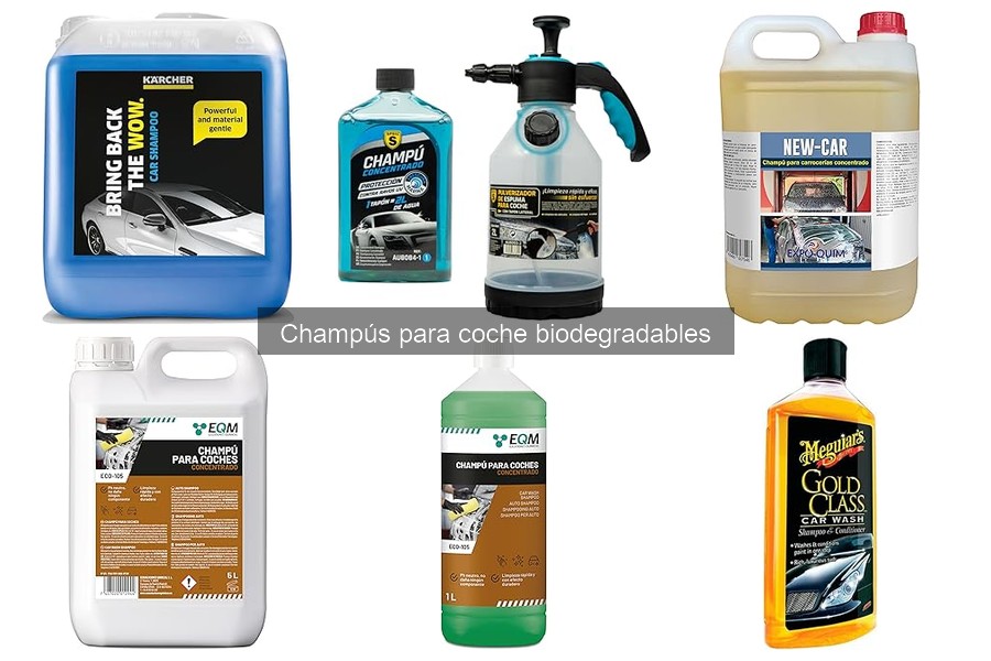 Dónde comprar champús biodegradables para coches