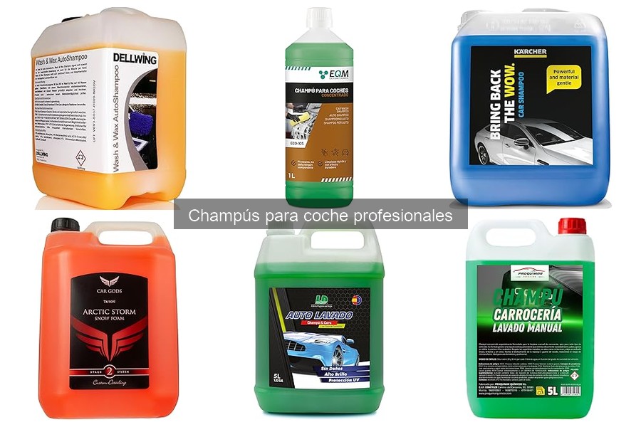 Dónde comprar champús para coche profesionales a buen precio