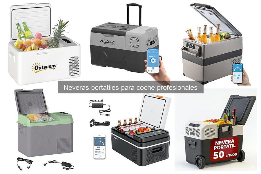 Dónde comprar neveras portátiles para coche profesional
