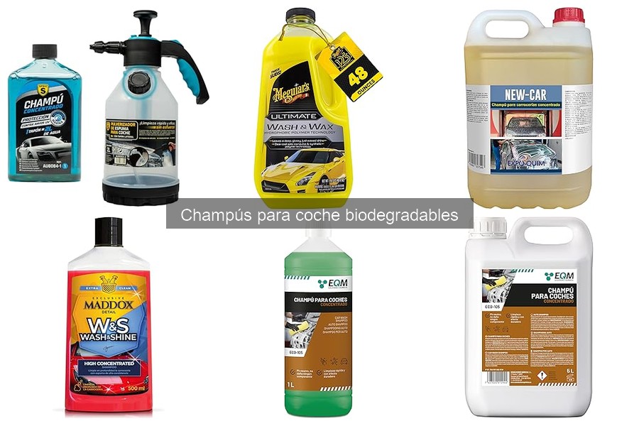 Ingredientes a Evitar en Champús Biodegradables para Coches