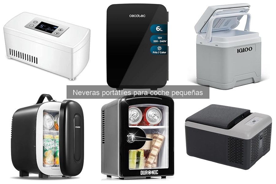 Mantenimiento de neveras portátiles para coche pequeñas