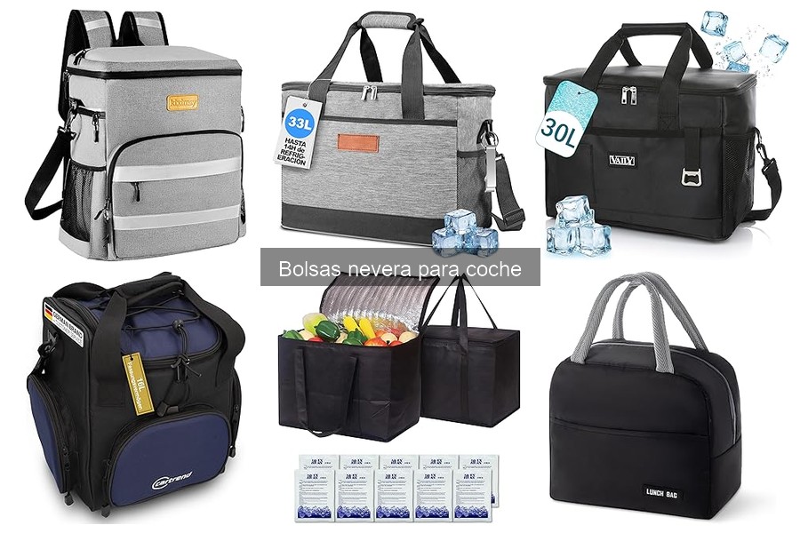 Mejores bolsas nevera para coche en 2023: Comparativa y recomendaciones