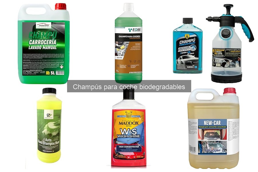 Mejores champús biodegradables para coche en 2024