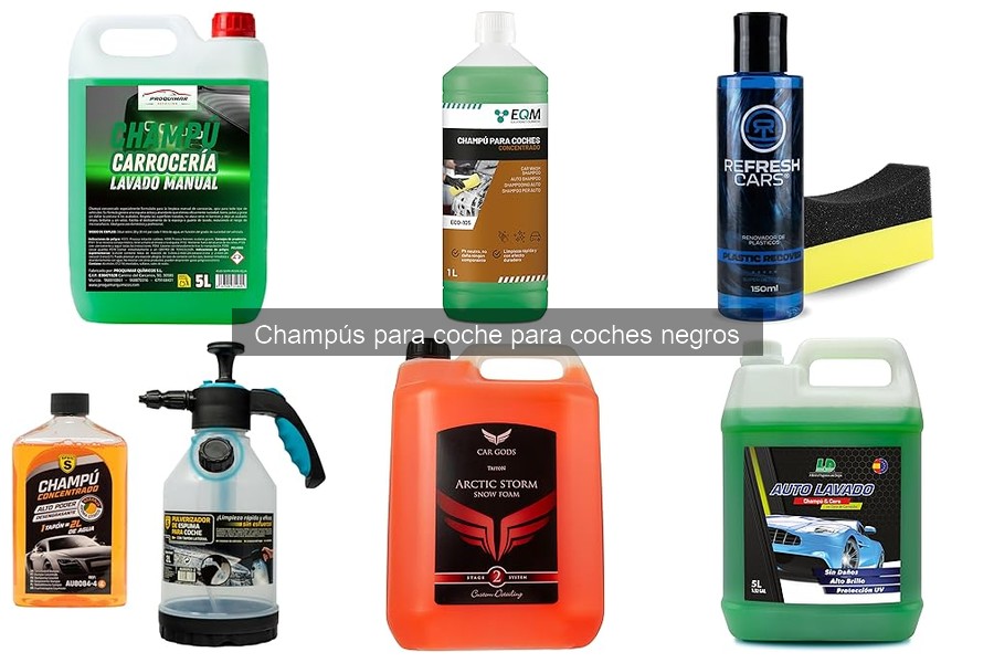 Mejores champús de lujo para coches negros en 2023