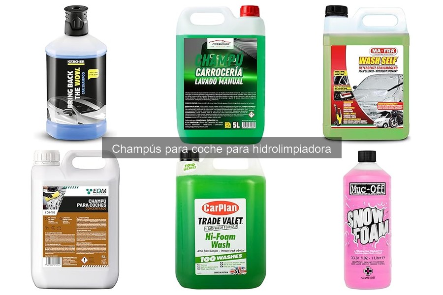 Mejores champús para hidrolavadora y accesorios recomendados