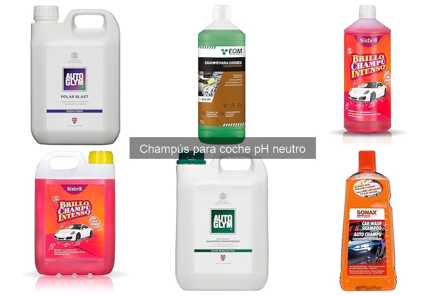 ** Mejores champús pH neutro para coches de lujo
