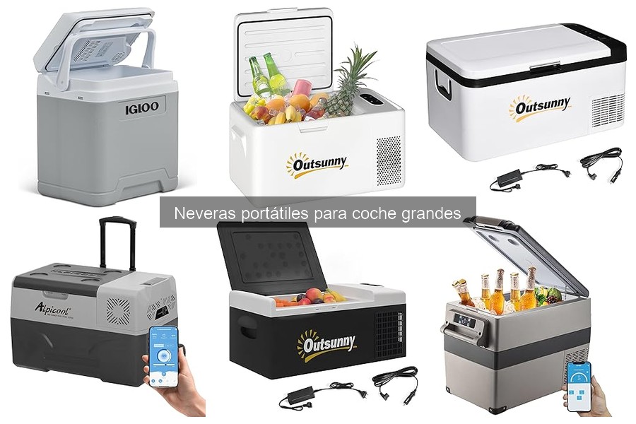 Mejores marcas de neveras portátiles grandes para coche
