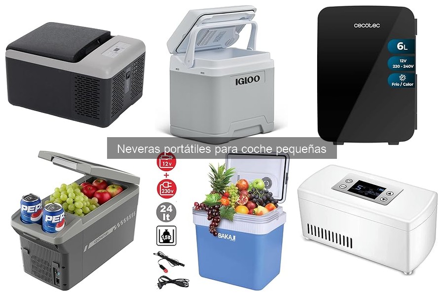 Mejores neveras portátiles pequeñas: calidad-precio 2023