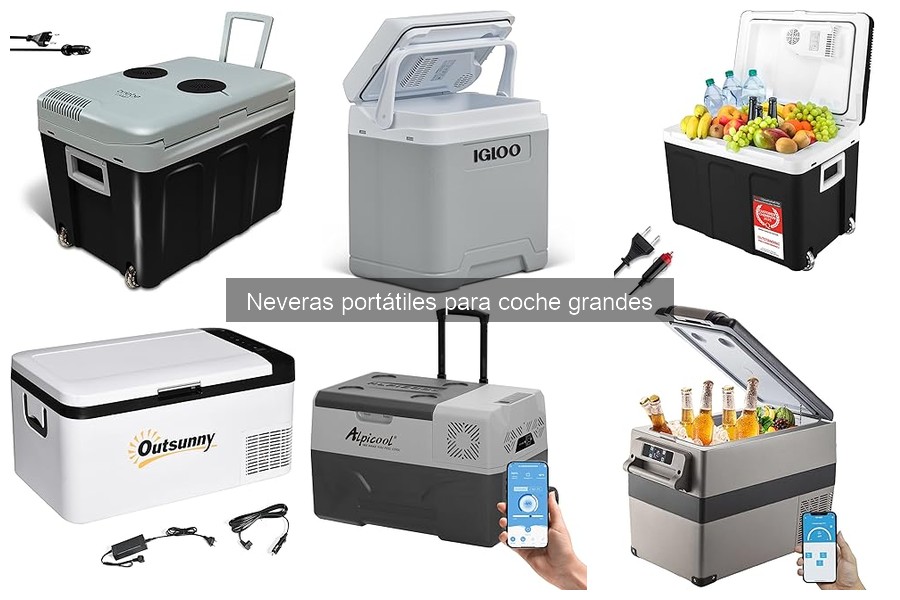 Mejores ofertas y precios de neveras grandes para coche