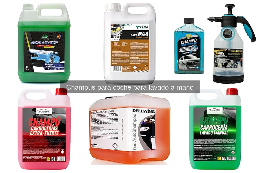 Opiniones de Champús para Coche: Lo Que Dicen los Usuarios