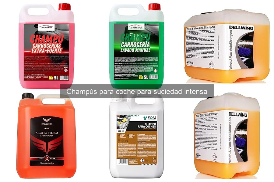 Precio promedio de champús para coche de suciedad intensa