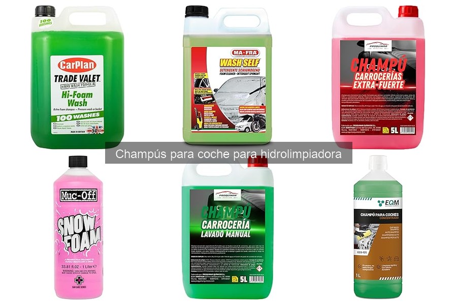 Precios de champús para coche en hidrolimpiadora 2023