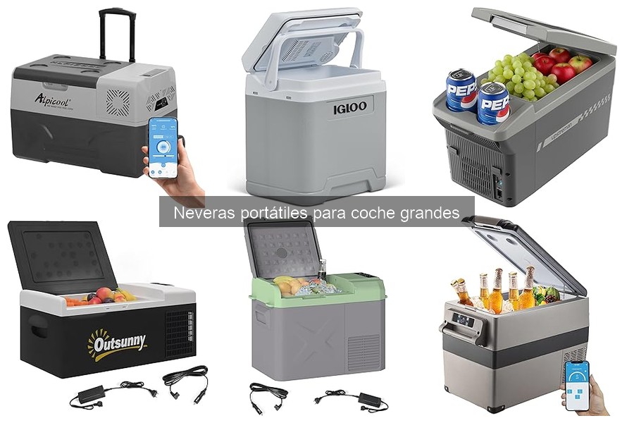 Problemas Comunes al Usar Neveras Portátiles Grandes