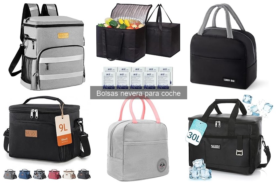 Problemas Comunes con Bolsas Nevera para Coche